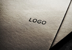 logo样机