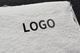 logo样机效果图