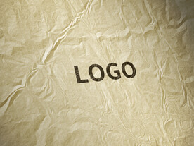 logo样机