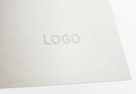 logo样机效果图