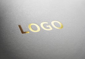 logo样机效果图