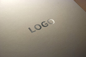 logo样机效果图