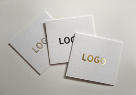 logo样机效果图
