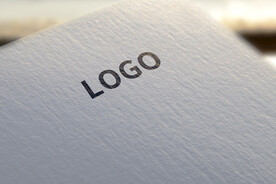 logo样机效果图