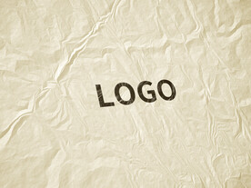 logo样机效果图
