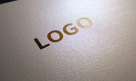logo样机