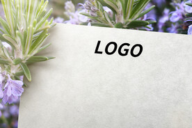 logo样机