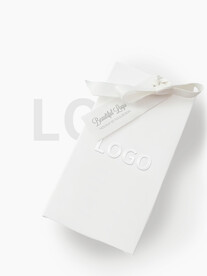 logo样机效果图场景 