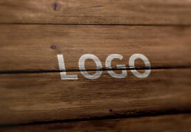 logo样机效果图