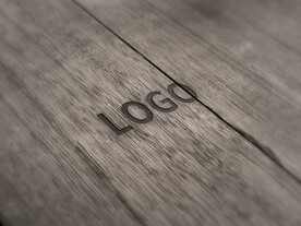 logo样机效果图