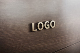 logo样机效果图