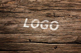 logo样机效果图