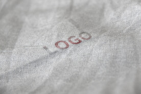 logo样机