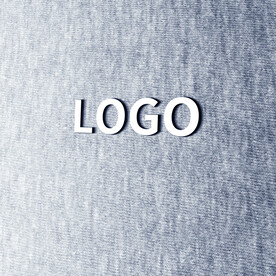 logo样机效果图