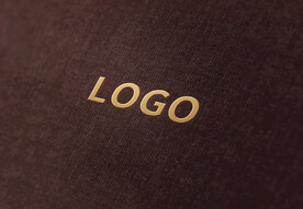 logo样机效果图