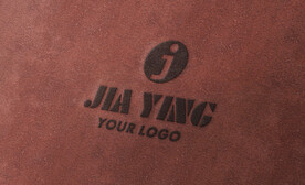logo样机