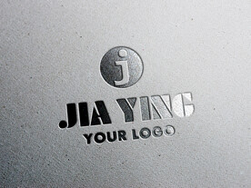 logo样机