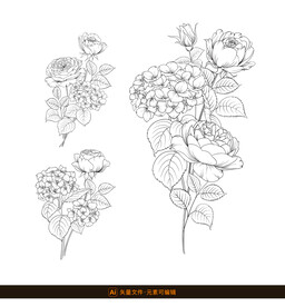 精致白描花卉