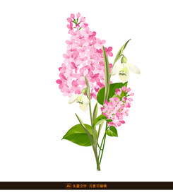 手绘丁香花素材