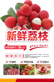 新鲜荔枝水果海报