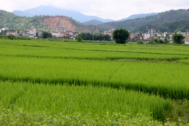 南方乡村风光