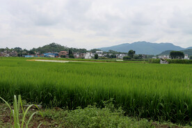 南方农村风光