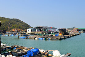 海上渔村