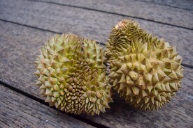 榴莲