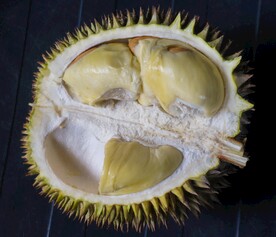 榴莲