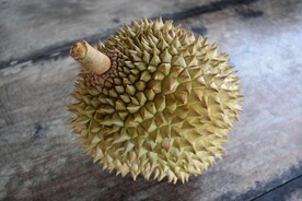 榴莲