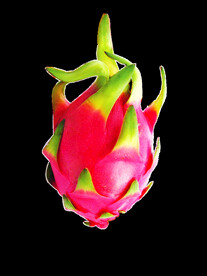 火龙果水果图片