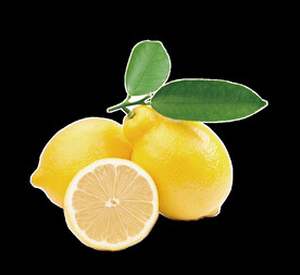 柠檬水果图片
