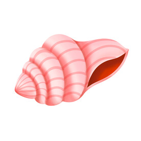 海螺