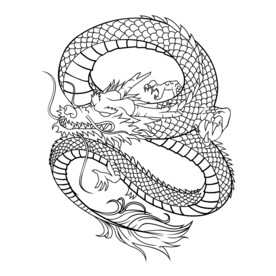 龙