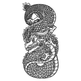 龙 