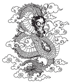龙 
