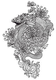 龙 