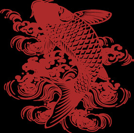 鲤鱼 锦鲤 