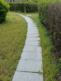 纯风景