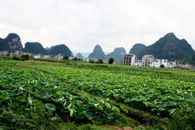 贺州农村风光