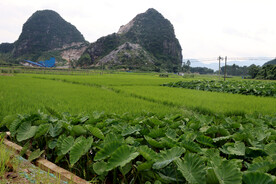 贺州农村风光