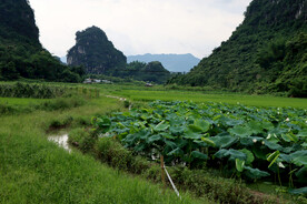 南方农村风光