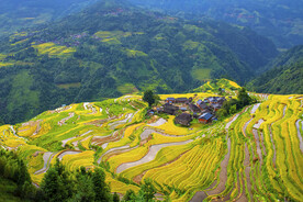 加榜梯田