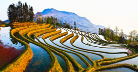 元阳哈尼梯田