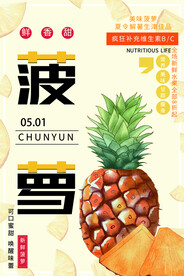 菠萝海报