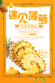 菠萝海报