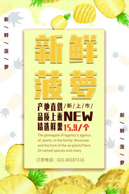 菠萝海报