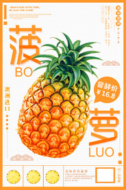 菠萝海报