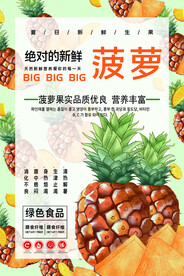 菠萝海报
