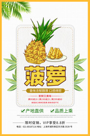 菠萝海报